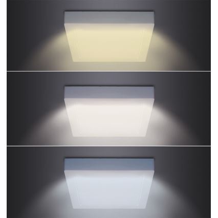 LED-Deckenleuchte LED/18W/230V 3000/4000/6000K 22,5x22,5 cm weiß