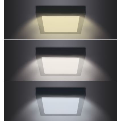 LED Plafoniera LED/24W/230V 3000/4000/6000K nero angolare