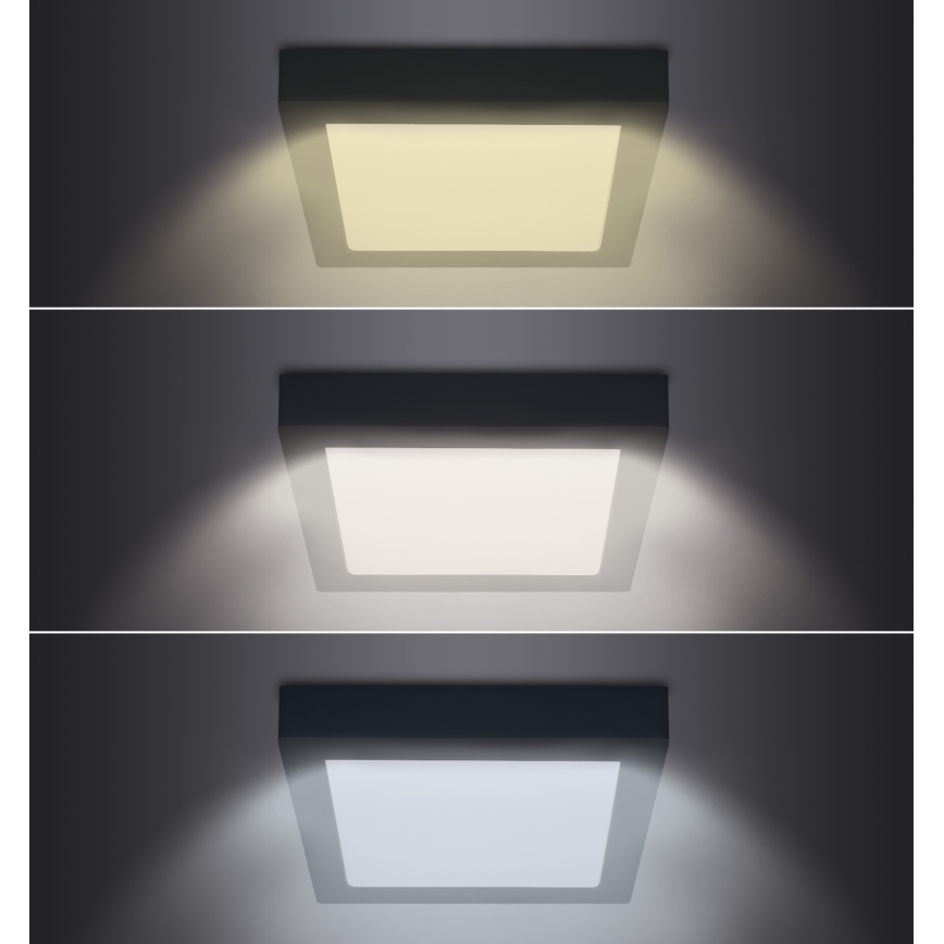 LED Plafoniera LED/24W/230V 3000/4000/6000K nero angolare