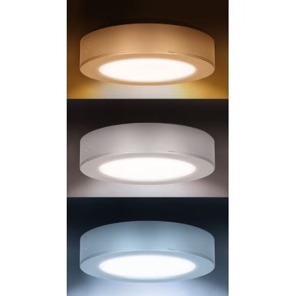 Panneau LED 2 en 1 en saillie/encastré 12W/230V 3000/4000/6000K Ø17cm IP54 argenté