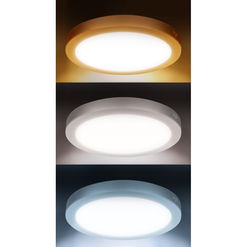 Pannello LED 2 in 1 incasso/superficie 18W/230V 3000/4000/6000K Ø 22,5 cm IP54 bianco