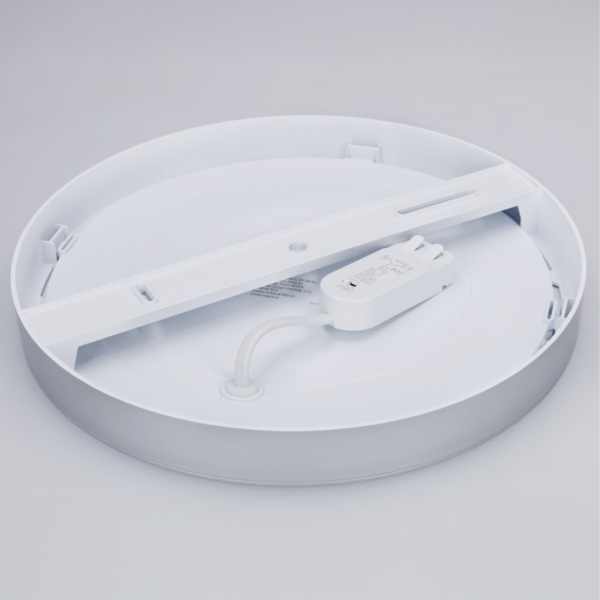 Panneau LED 2 en 1 pour montage en surface ou encastré 24W/230V 3000/4000/6000K Ø 30 cm IP54 argenté