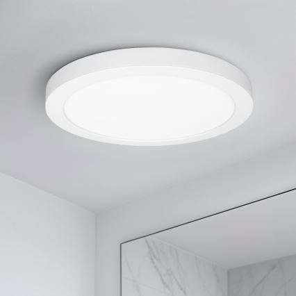 Pannello LED a plafone/da incasso 2-in-1 24W/230V 3000/4000/6000K Ø 30 cm IP54 bianco