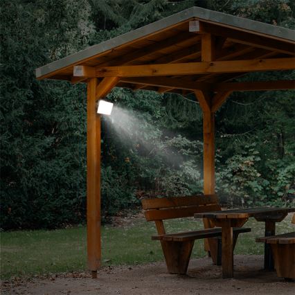 Projecteur extérieur avec détecteur LED/10W/230V 4000K IP44
