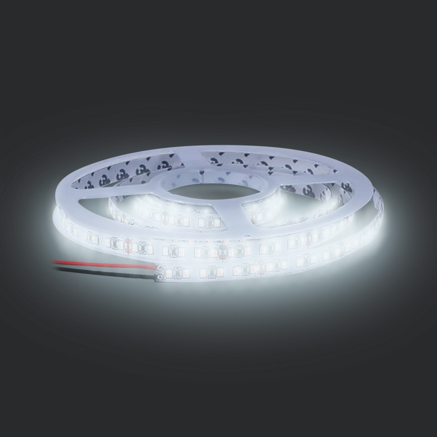 Striscia LED LED/50W/12V 5m bianco freddo