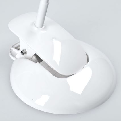 Lampada LED da tavolo dimmerabile con base e Clip LED/5W/230V