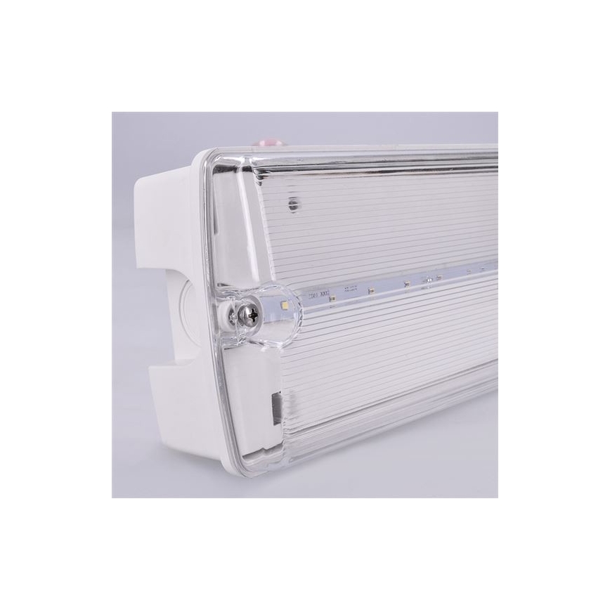LED-Notleuchte LED/6W/230V IP65 6500K