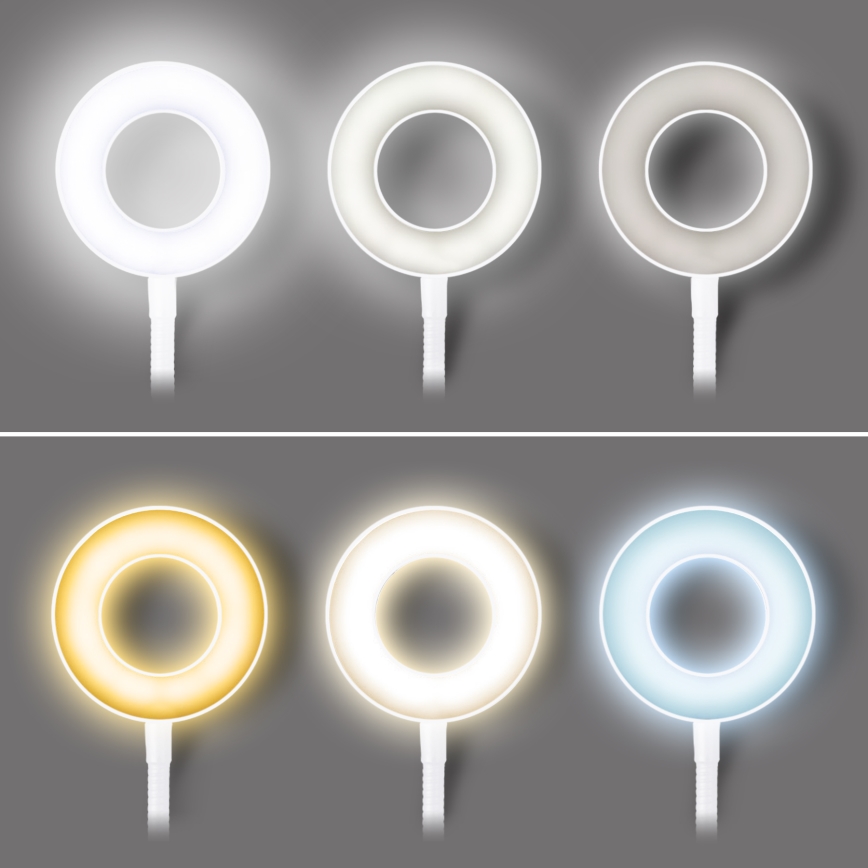 Lampe de bureau LED dimmable à pince LED/8W/230V 3000/4000/5000K blanche