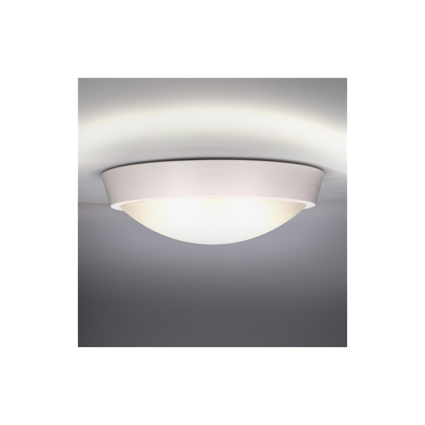 LED Außen-Deckenleuchte LED/18W/230V IP65