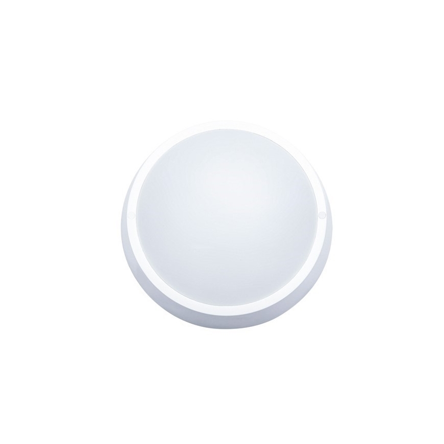 LED-Außendeckenleuchte 1xLED/30W/230V  IP65