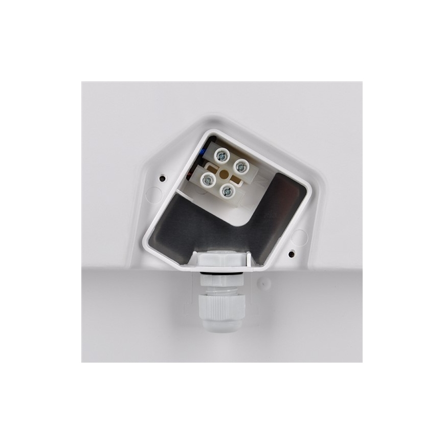 LED-Außendeckenleuchte 1xLED/30W/230V  IP65