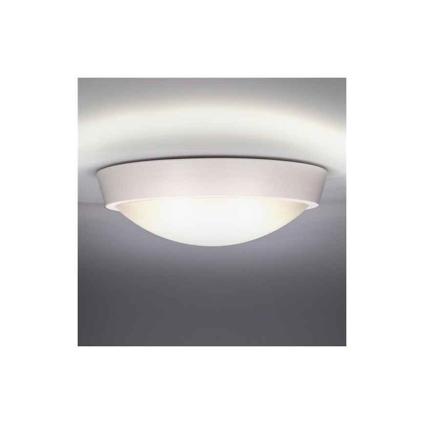 LED-Außendeckenleuchte 1xLED/30W/230V  IP65