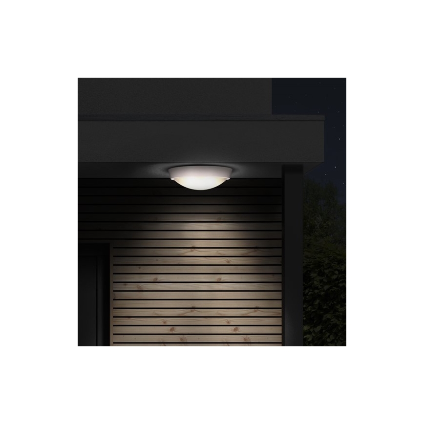 LED-Außendeckenleuchte 1xLED/30W/230V  IP65