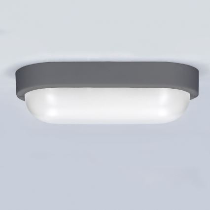 Applique murale extérieure LED/13W/230V 4000K IP54 gris ovale