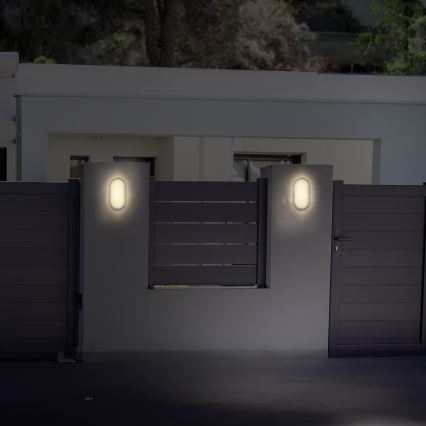 LED Lampada da esterno LED/20W/230V 4000K IP54 grigio ovale