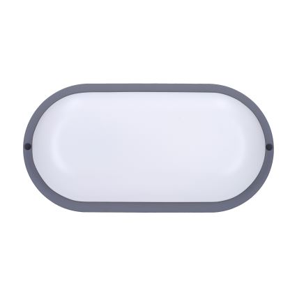 LED Lampada da esterno LED/20W/230V 4000K IP54 grigio ovale