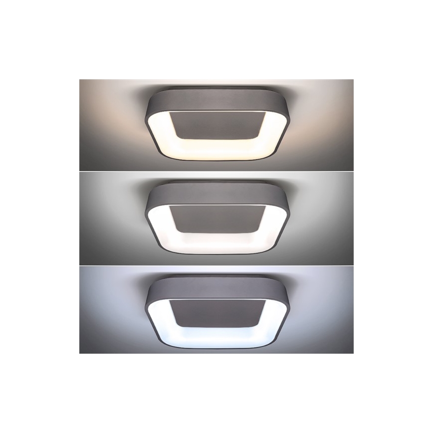 Plafoniera LED dimmerabile TREVISO LED/48W/230V + Telecomando