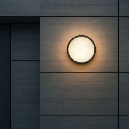 Applique LED da esterno 2 in 1 LED/20W/230V 3000/4000/6500K IP65 Ø 22 cm