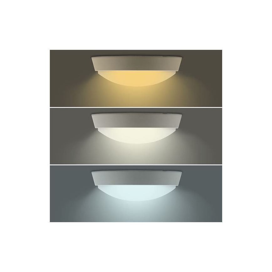 LED-Außenwandleuchte 2-in-1 LED/20W/230V 3000/4000/6500K IP65 Ø 22 cm