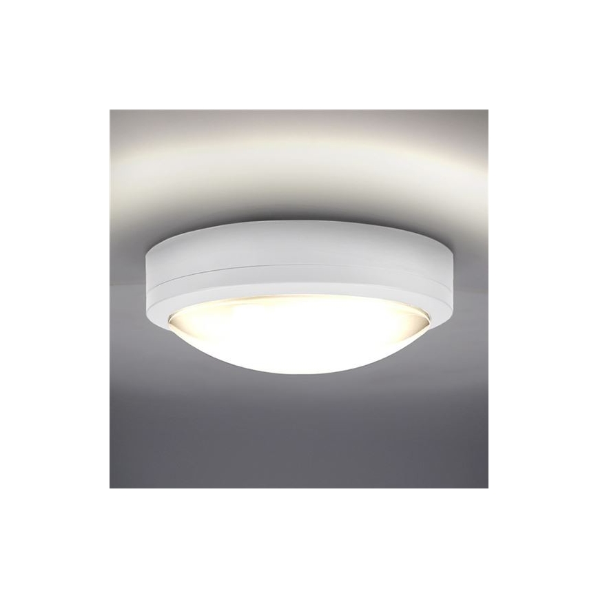 LED-Deckenleuchte für den Außenbereich SIENA LED/20W/230V IP54 d 23 cm weiß