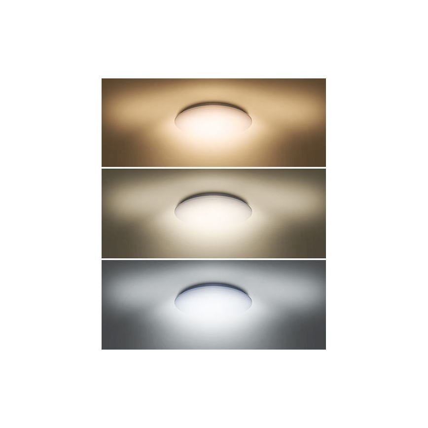 Plafoniera LED PLAIN LED/24W/230V 3000K/4000K/6000K tonda