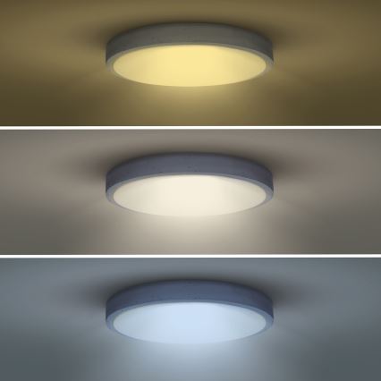 Plafoniera LED dimmerabile GREY LED/60W/230V 3000-6500K grigio diametro 49 cm + telecomando