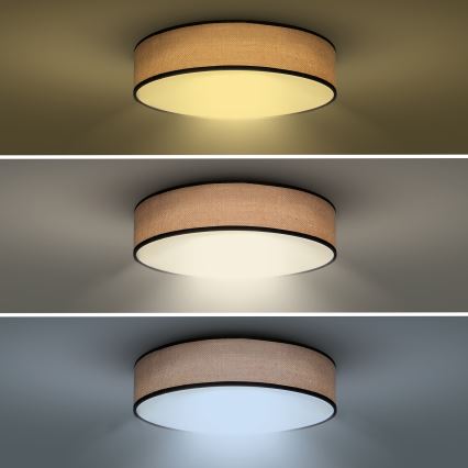 Plafonnier à intensité variable BROWNIE LED/60W/230V 3000-6500K marron d. 50 cm + télécommande