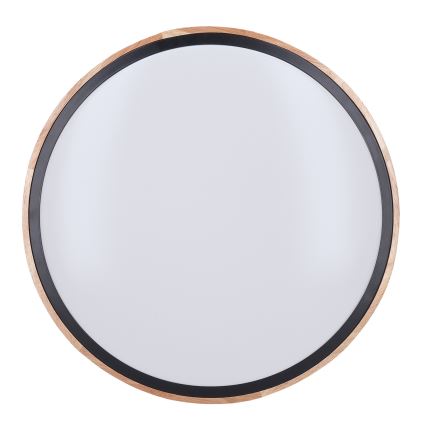 Plafoniera LED dimmerabile IRON OAK LED/60W/230V 3000-6500K quercia diametro 51 cm + telecomando