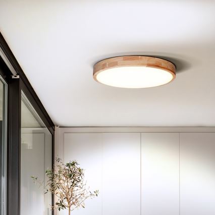 Plafoniera LED dimmerabile SOLID OAK LED/60W/230V 3000-6500K quercia diametro 51 cm + telecomando