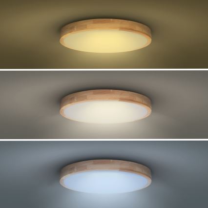 Plafoniera LED dimmerabile SOLID OAK LED/60W/230V 3000-6500K quercia diametro 51 cm + telecomando