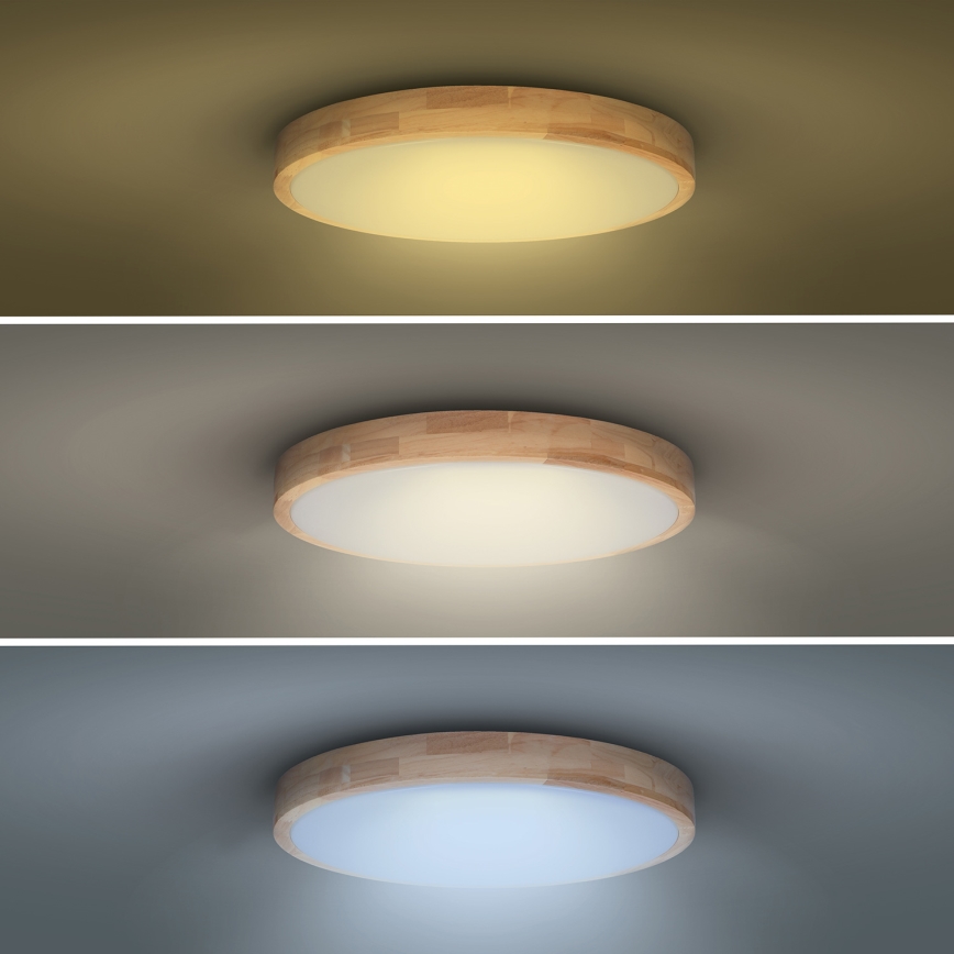 Plafoniera LED dimmerabile SOLID OAK LED/60W/230V 3000-6500K quercia diametro 51 cm + telecomando