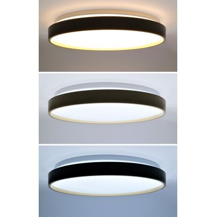 Plafoniera LED dimmerabile CALA LED/48W/230V 3000-6500K nero/oro + telecomando