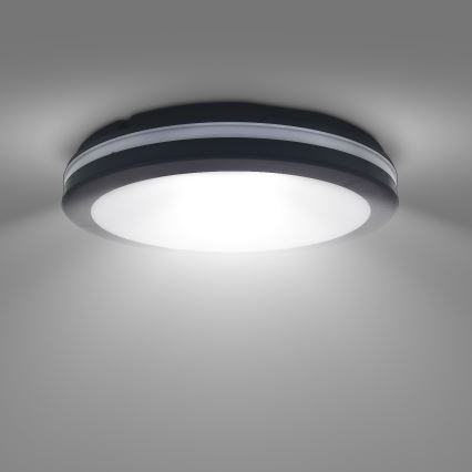 LED Dimmerabile per esterni soffitto chiaro LED/36W/40W/44W/230V 3000/4000/6500K IP65 nero