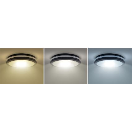LED Dimmerabile per esterni soffitto chiaro LED/36W/40W/44W/230V 3000/4000/6500K IP65 nero