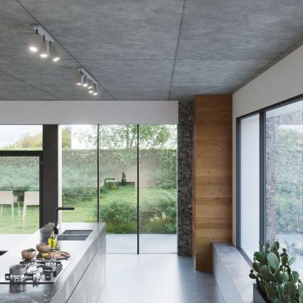 Wandleuchte MERIDA 1xGU10/40W/230V grau