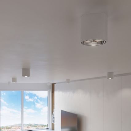 Faretto TIUBE1xGU10-AR111/10W/230V