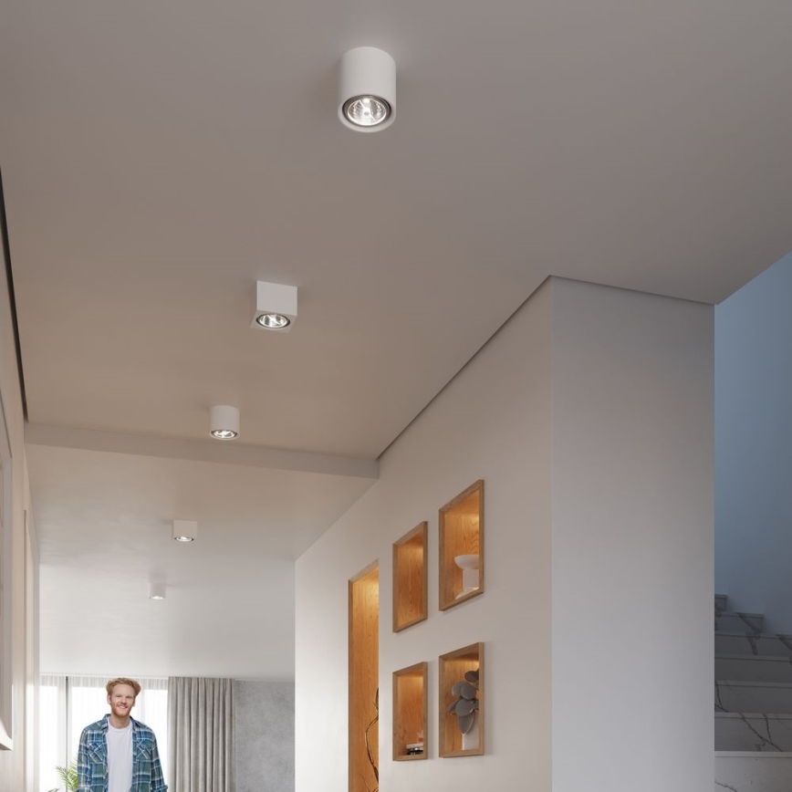 Spotleuchte KALU 1xGU10/ES111/40W/230V