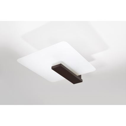 Plafoniera LAPPO 2xE27/15W/230V wenge