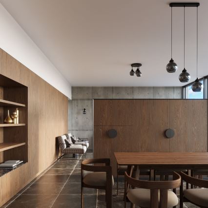 Lampadario a cavo ALINO 1xE27/60W/230V nero
