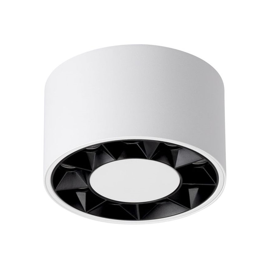Faretto LED DIO LED/10W/230V bianco