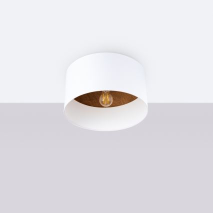 Plafonnier TELESTO 1xE27/15W/230V d. 35 cm blanc/marron