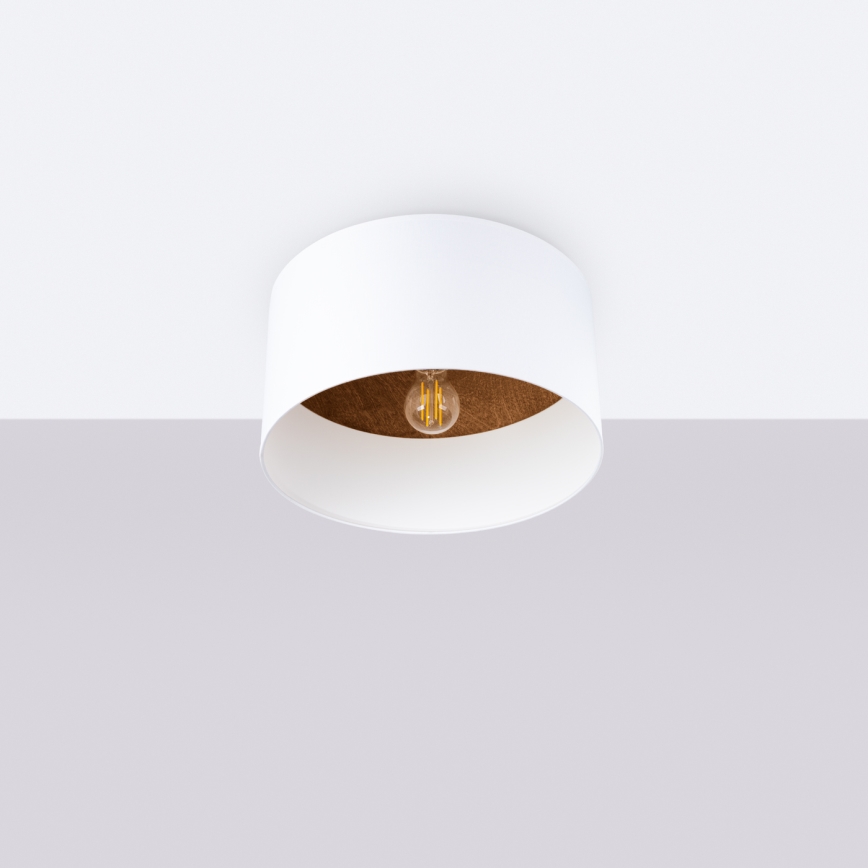 Plafonnier TELESTO 1xE27/15W/230V d. 35 cm blanc/marron