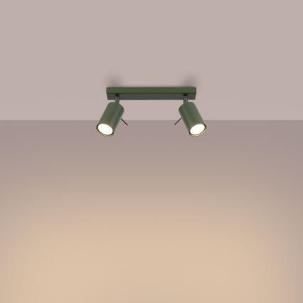 Spot RING 2xGU10/10W/230V vert