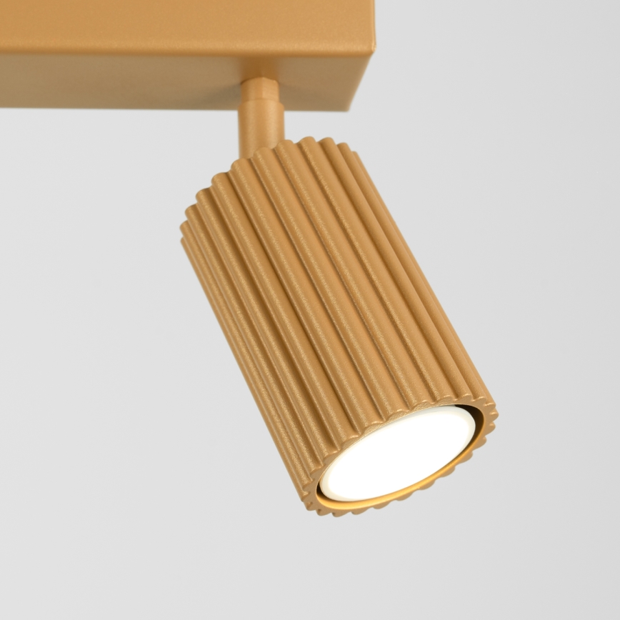 Faretto KARBON 2xGU10/10W/230V oro