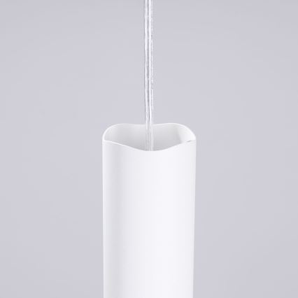 Suspension filaire LIRO 1xGU10/10W/230V blanc