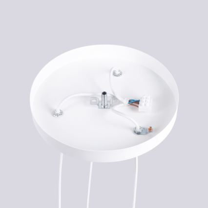 Suspension filaire HALO 3xG9/8W/230V d. 25 cm blanc