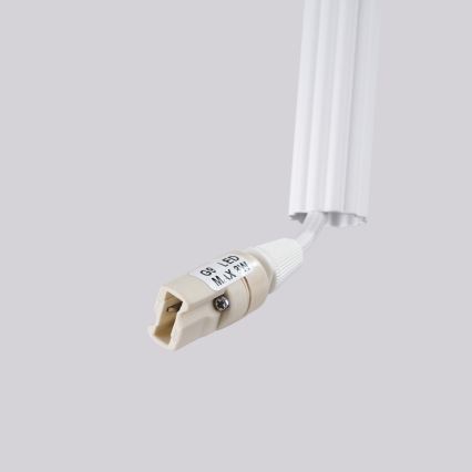 Hängeleuchte an Kabel ARCHE 2xG9/8W/230V weiß