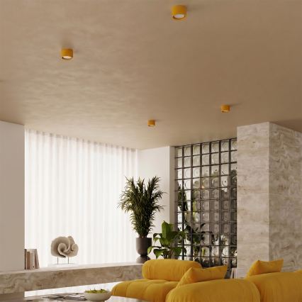 Faretto MODO 1xGX53/10W/230V giallo