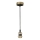 Speisekabel 1xE21/20W/230V gold
