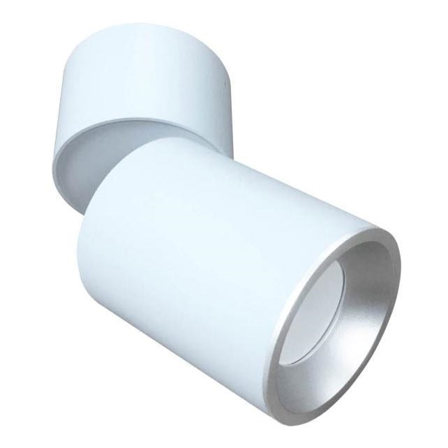 Spot ASTRA 1xGU10/10W/230V blanc/argent